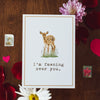 TNSP - Valentine's Postcards (5 Pack)